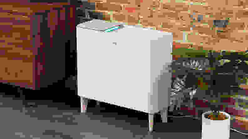 The attractively designed Coway Airmega Icon air purifier sits next to a plant.