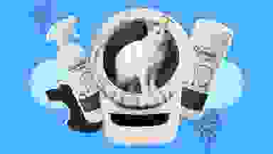 litter-robot on blue background with cleaning supplies