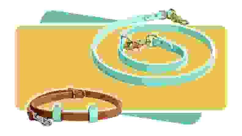 The Strange Tails Classic Biothane Leash in seafoam and terracotta colors