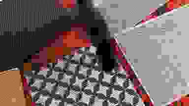 A black cat walks across cat litter mats.