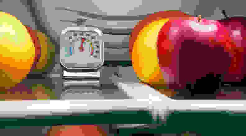 A refrigerator thermometer sits on a fridge shelf, surrounded by fresh fruit.