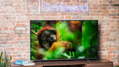 A Samsung Q60B QLED TV displaying 4K/HDR content in a living room setting