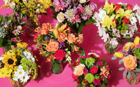 A variety of flowers against a pink background.