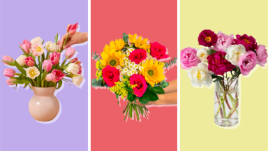 Various flower bouquets in front of colored backgrounds.